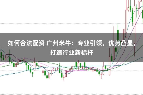 如何合法配资 广州米牛：专业引领，优势凸显，打造行业新标杆