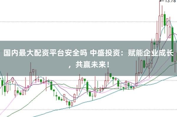 国内最大配资平台安全吗 中盛投资：赋能企业成长，共赢未来！