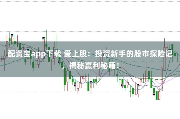 配资宝app下载 爱上股：投资新手的股市探险记，揭秘赢利秘籍！