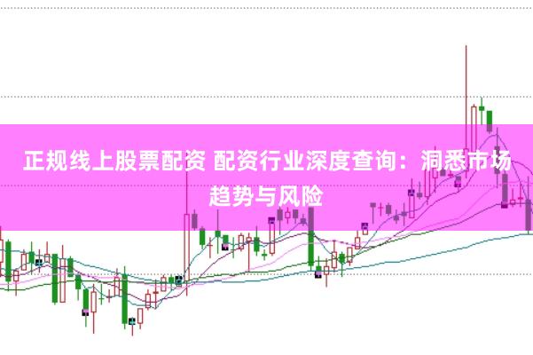 正规线上股票配资 配资行业深度查询:洞悉市场趋势与风险