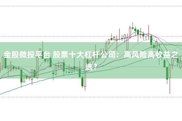 金股微投平台 股票十大杠杆公司：高风险高收益之选？