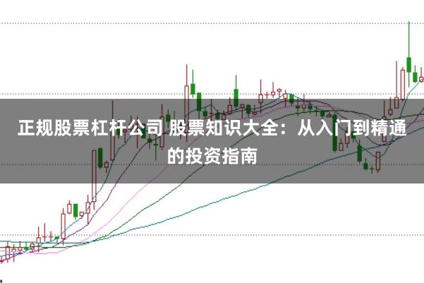 正规股票杠杆公司 股票知识大全：从入门到精通的投资指南