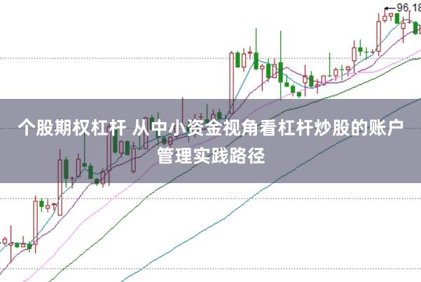 个股期权杠杆 从中小资金视角看杠杆炒股的账户管理实践路径
