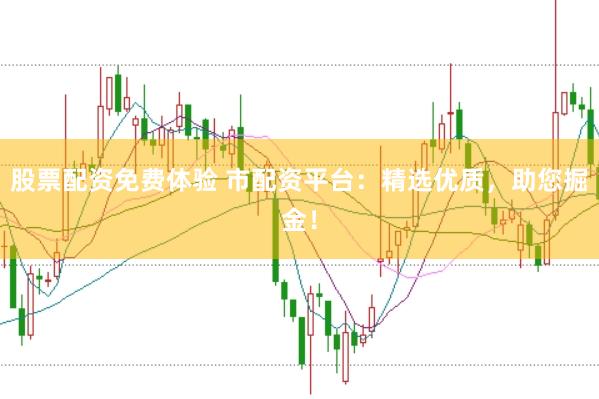 股票配资免费体验 市配资平台:精选优质,助您掘金!