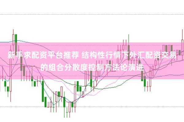 新手求配资平台推荐 结构性行情下外汇配资交易的组合分散度控制方法论演进