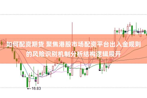 如何配资期货 聚焦港股市场配资平台出入金规则的风险识别机制分析结构逻辑展开