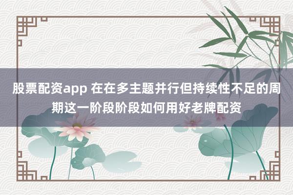 股票配资app 在在多主题并行但持续性不足的周期这一阶段阶段如何用好老牌配资