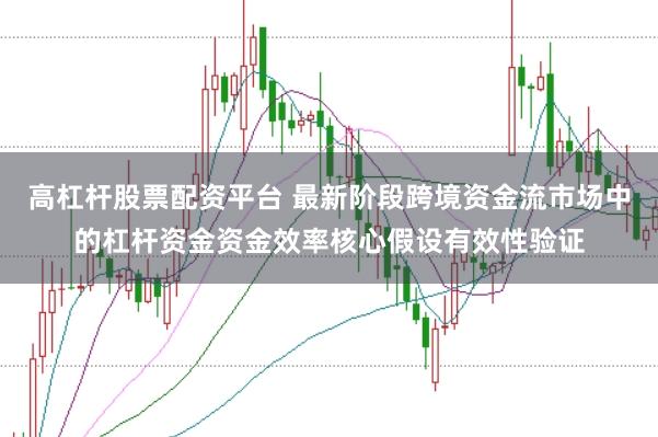 高杠杆股票配资平台 最新阶段跨境资金流市场中的杠杆资金资金效率核心假设有效性验证