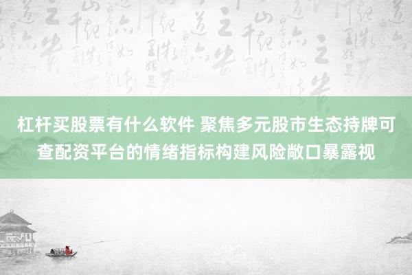杠杆买股票有什么软件 聚焦多元股市生态持牌可查配资平台的情绪指标构建风险敞口暴露视