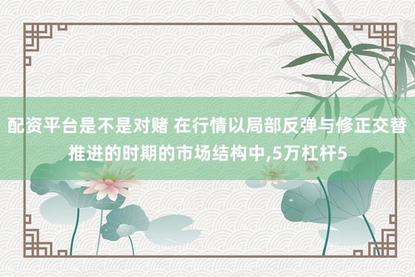 配资平台是不是对赌 在行情以局部反弹与修正交替推进的时期的市场结构中,5万杠杆5