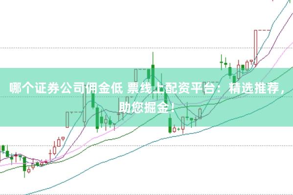 哪个证券公司佣金低 票线上配资平台：精选推荐，助您掘金！