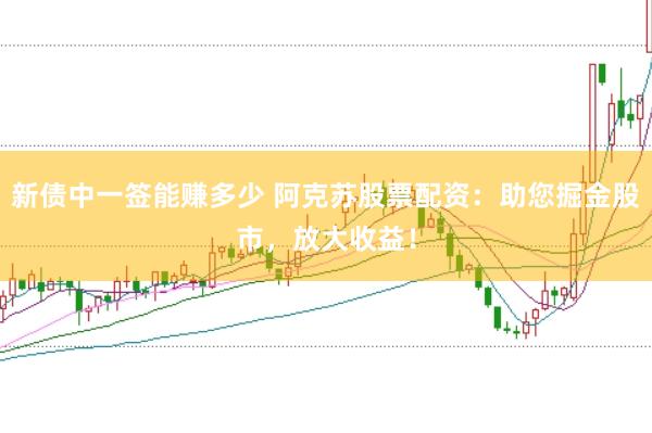 新债中一签能赚多少 阿克苏股票配资：助您掘金股市，放大收益！