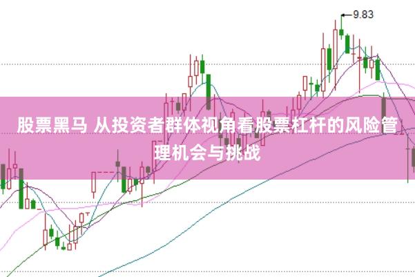 股票黑马 从投资者群体视角看股票杠杆的风险管理机会与挑战