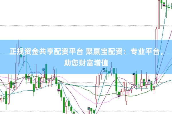 正规资金共享配资平台 聚赢宝配资：专业平台，助您财富增值