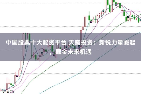 中国股票十大配资平台 天盛投资：新锐力量崛起，掘金未来机遇
