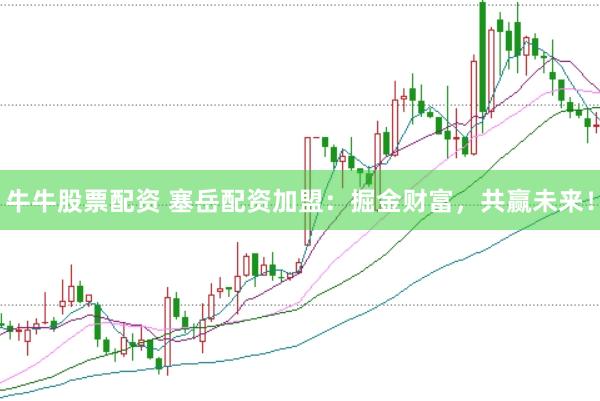 牛牛股票配资 塞岳配资加盟：掘金财富，共赢未来！
