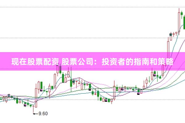 现在股票配资 股票公司：投资者的指南和策略